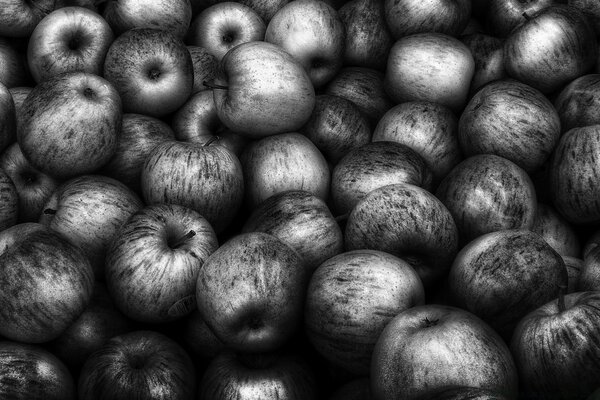 Still life, sadness for the summer. A stroke drawn apple harvest