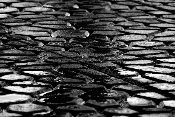 Paving stones with a wet track from the wheel