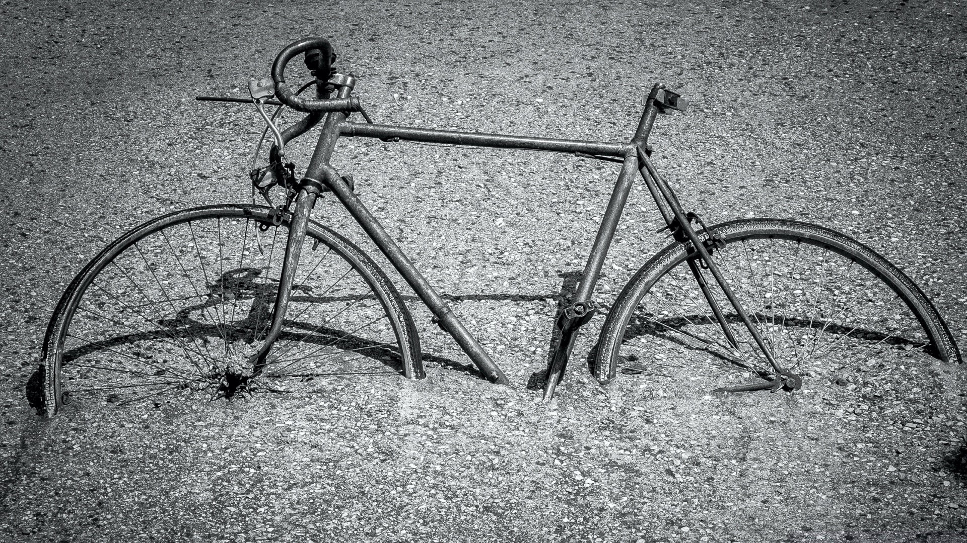 noir et blanc roue vélo voiture cycliste système de transport assis un route monochrome loisirs en plein air loisirs deux vélo motard