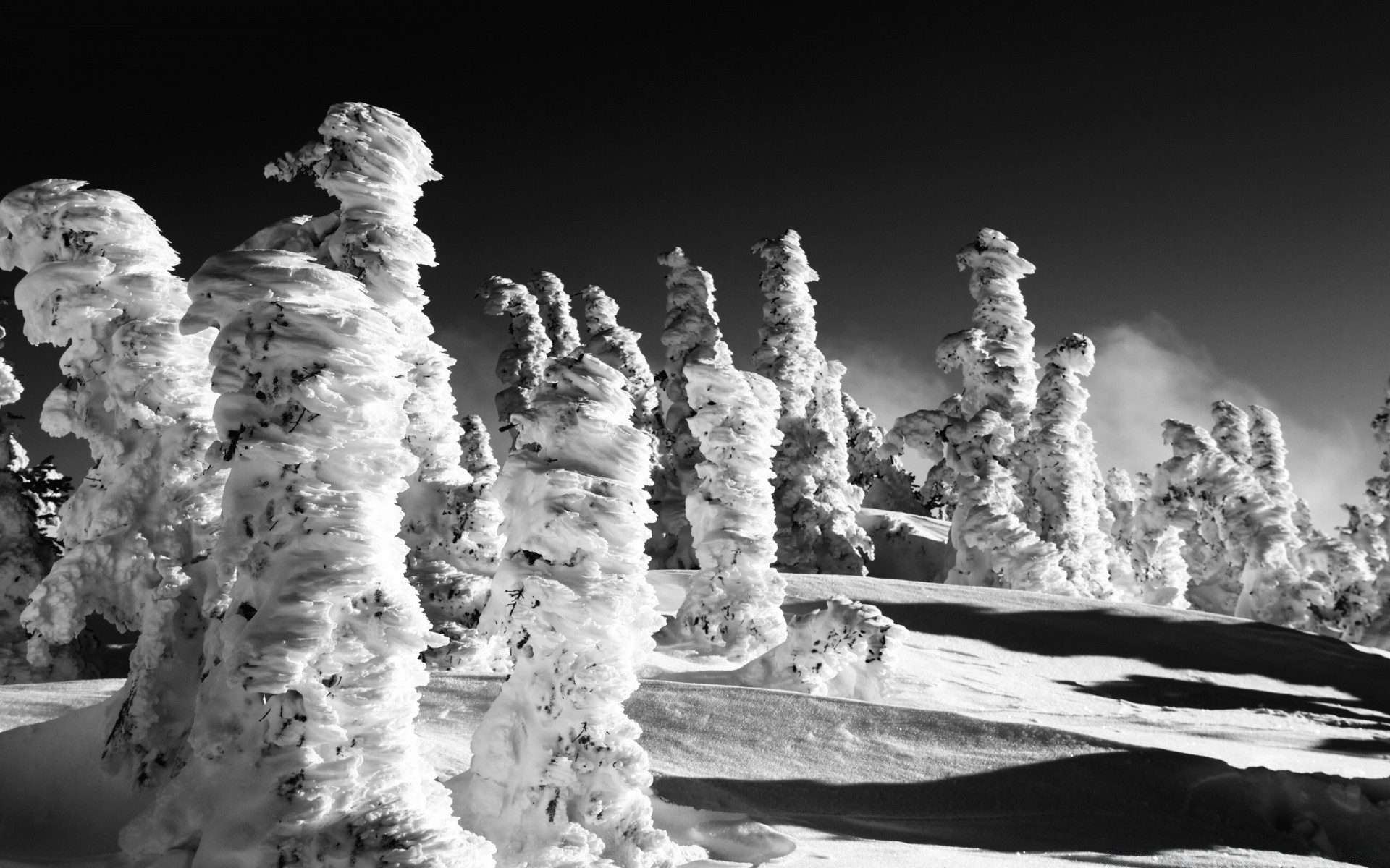 preto e branco neve inverno gelo frio geada natureza viagem madeira ao ar livre paisagem água madeira