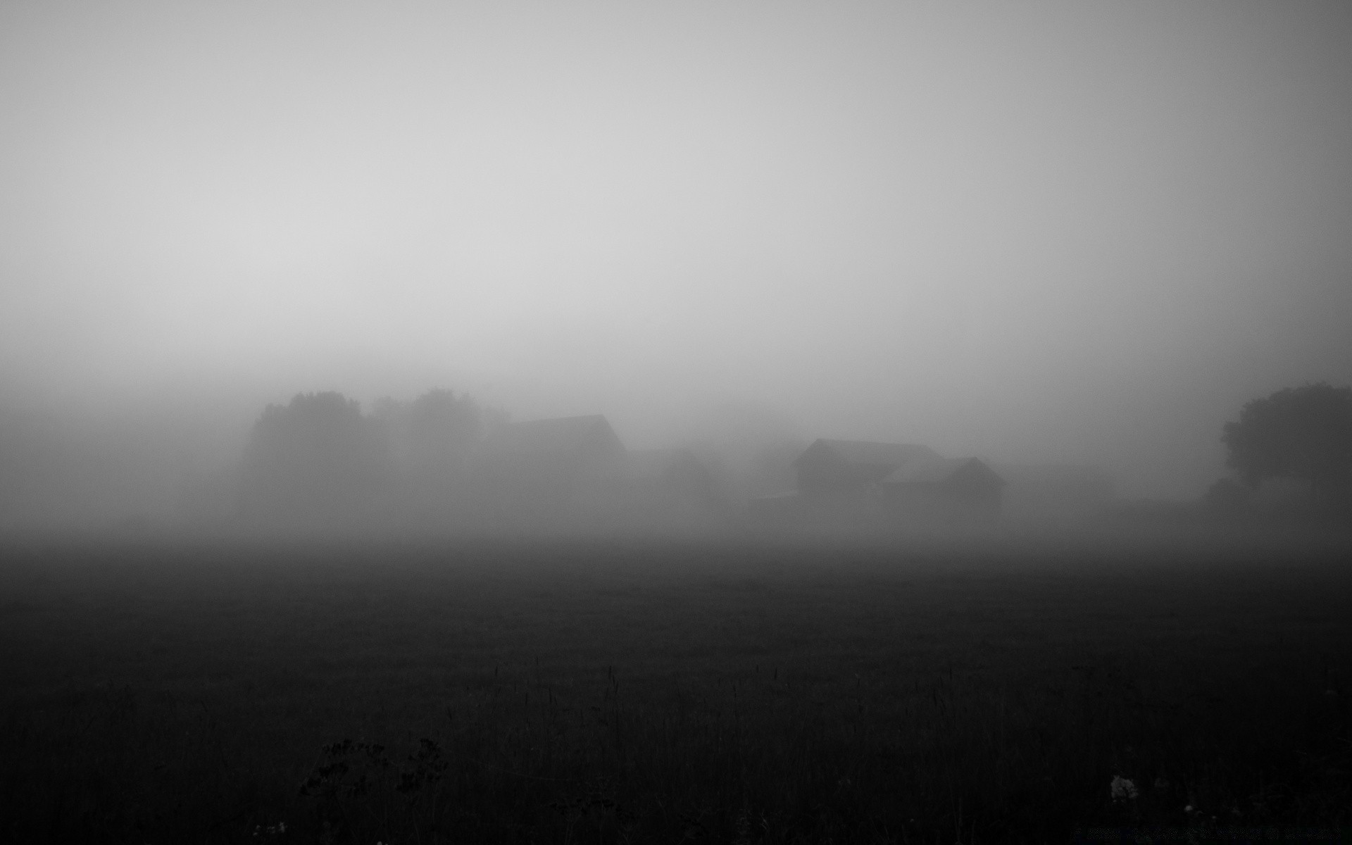 noir et blanc brouillard monochrome brouillard paysage lune art tempête pluie arbre ciel météo