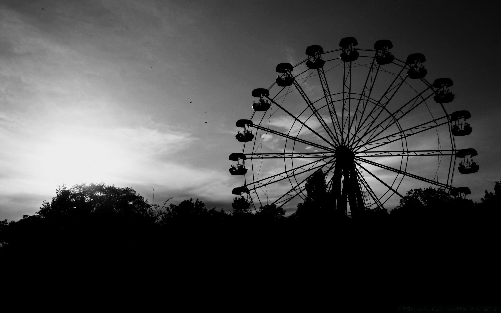 blanco y negro silueta cielo ruedas noria árbol festival luz carrusel