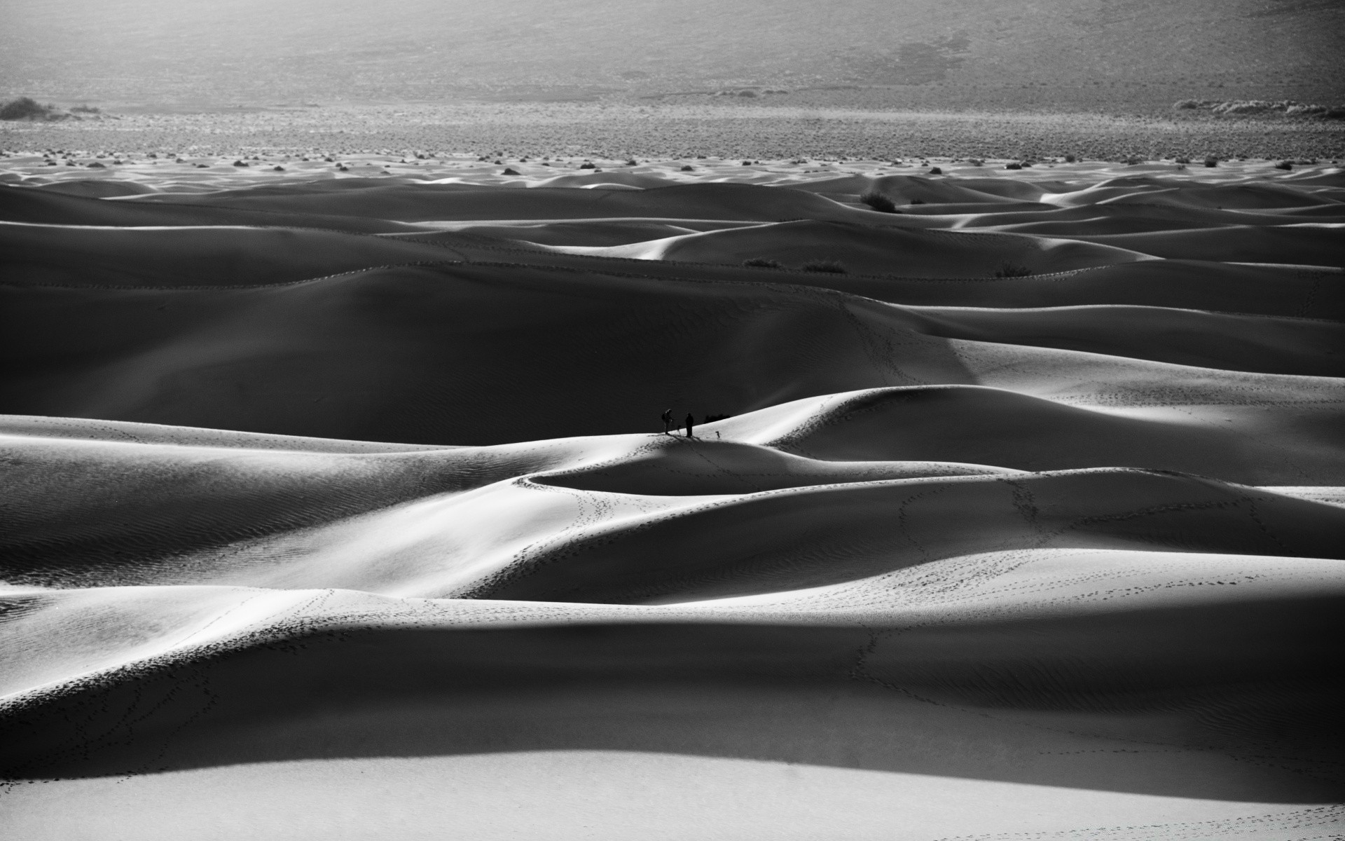 czarno-biały piasek plażowy morze morze monochromatyczny ocean krajobraz woda fala pustynia wydma podróż cień krajobraz