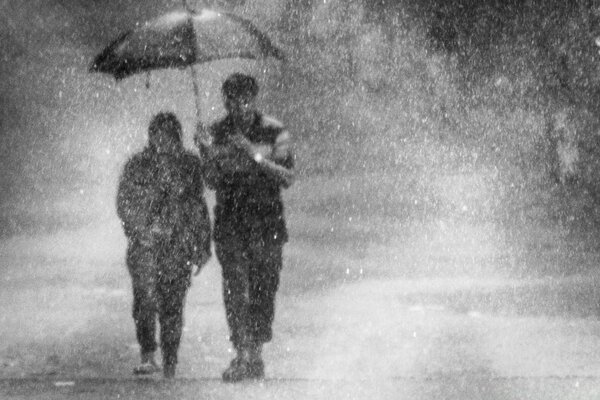 Um adulto carrega um guarda-chuva no respingo do carro