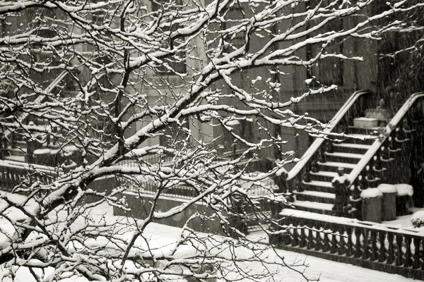 Hiver noir et blanc dans la rue de la ville