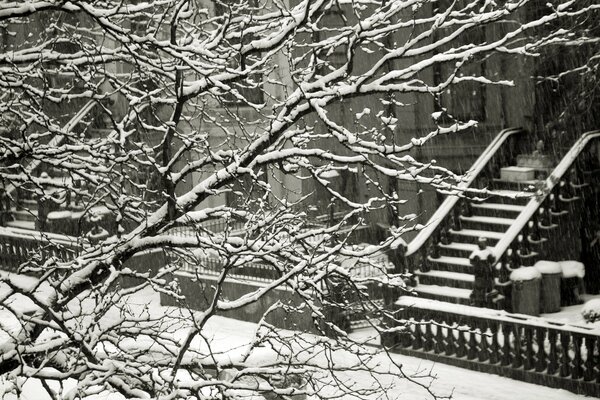 Чёрно-белая зима на городской улице