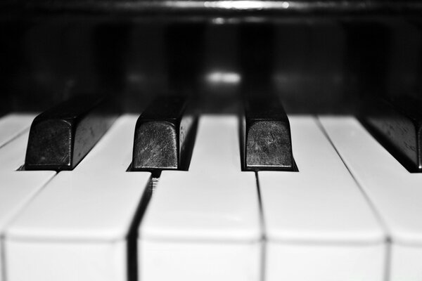 Instrument de piano noir et blanc