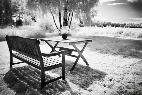 Schwarz-Weiß-Foto von einer Bank und einem Tisch in der Natur