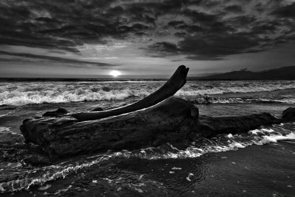 Playa en blanco y negro en el mar