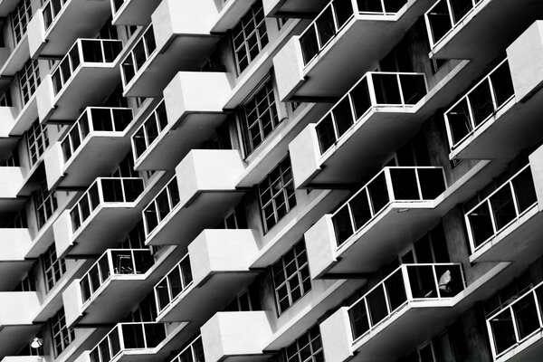 Architecture de fenêtre photo noir et blanc