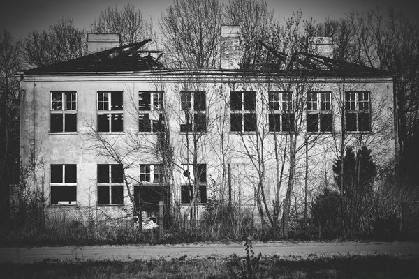 Ruins of a house in monochrome