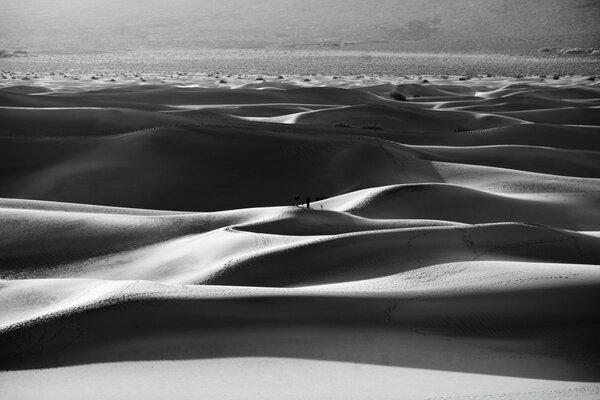 Black and white sand dunes on the beach