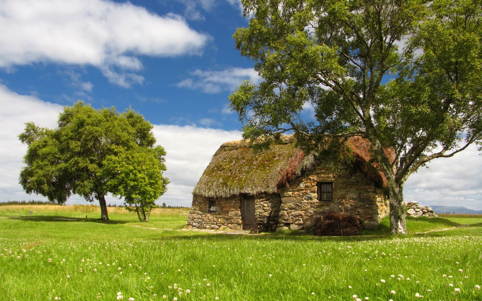 verão árvore grama paisagem natureza céu rural madeira feno ao ar livre fazenda viajar país agricultura cênica campo flora nuvem