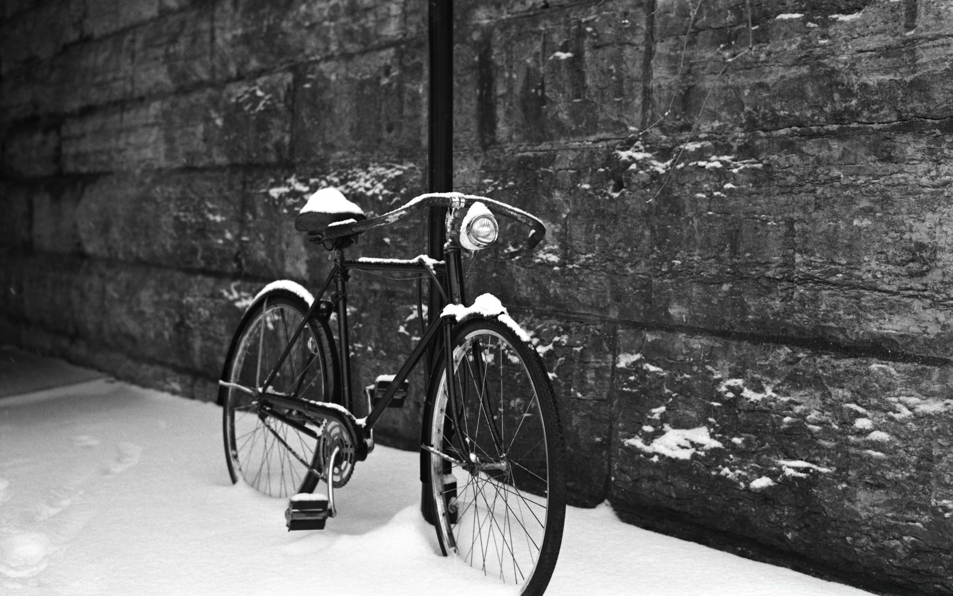 noir et blanc voiture un système de transport roues adulte bois