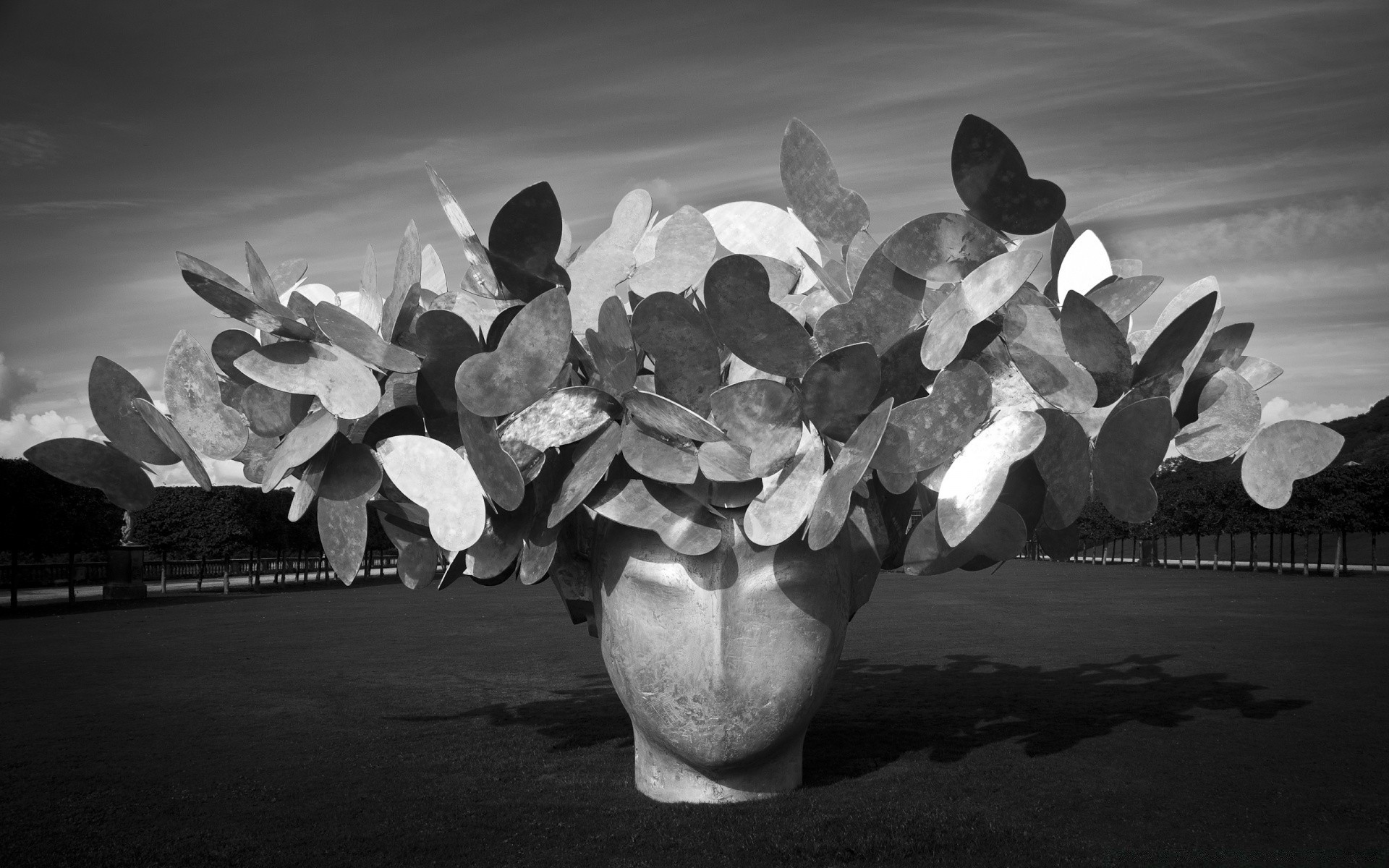 black and white monochrome group nature sky art