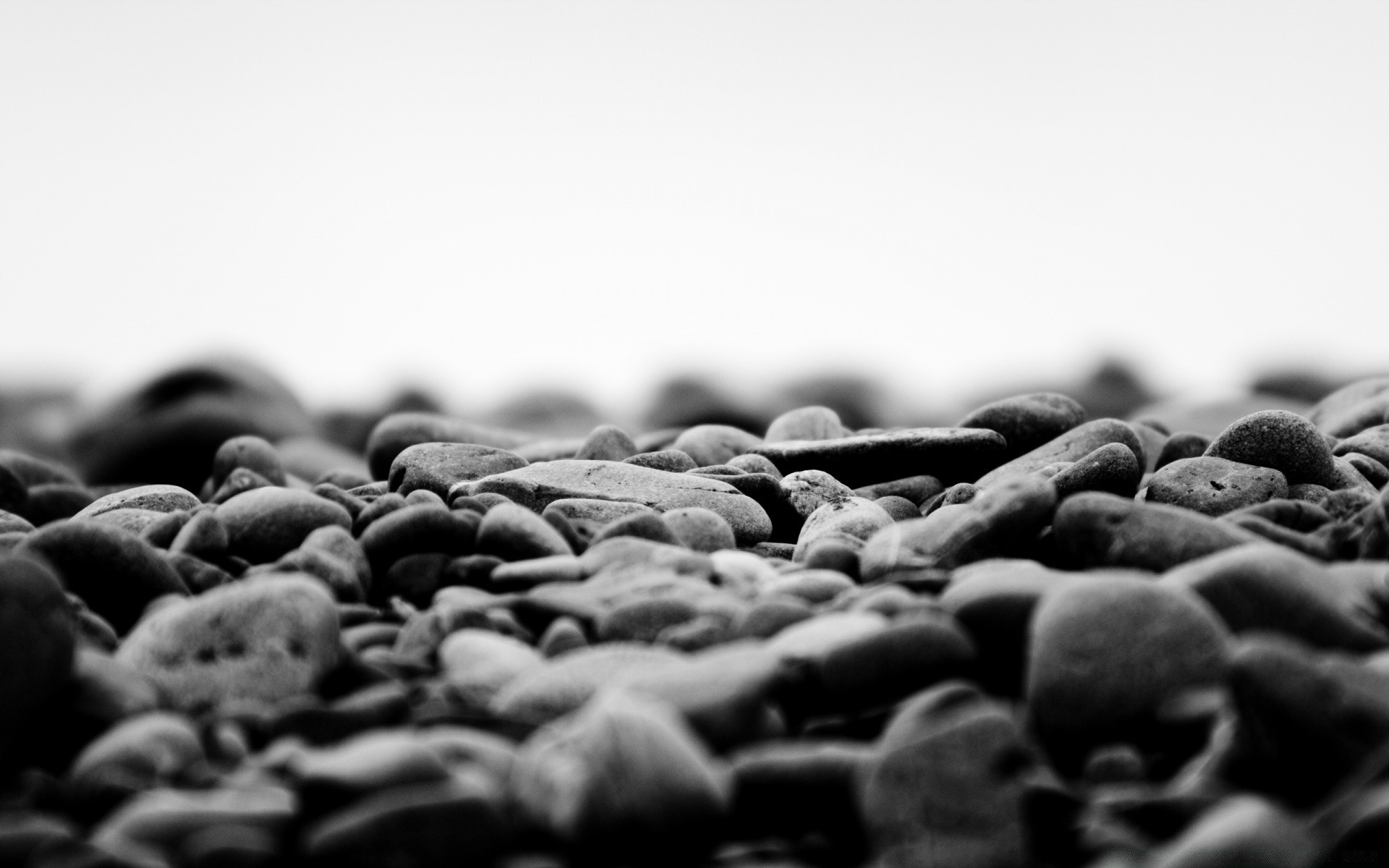 black and white coffee caffeine bean food close-up perfume drink desktop monochrome dark dawn relish seed close texture batch still life aromatic pile