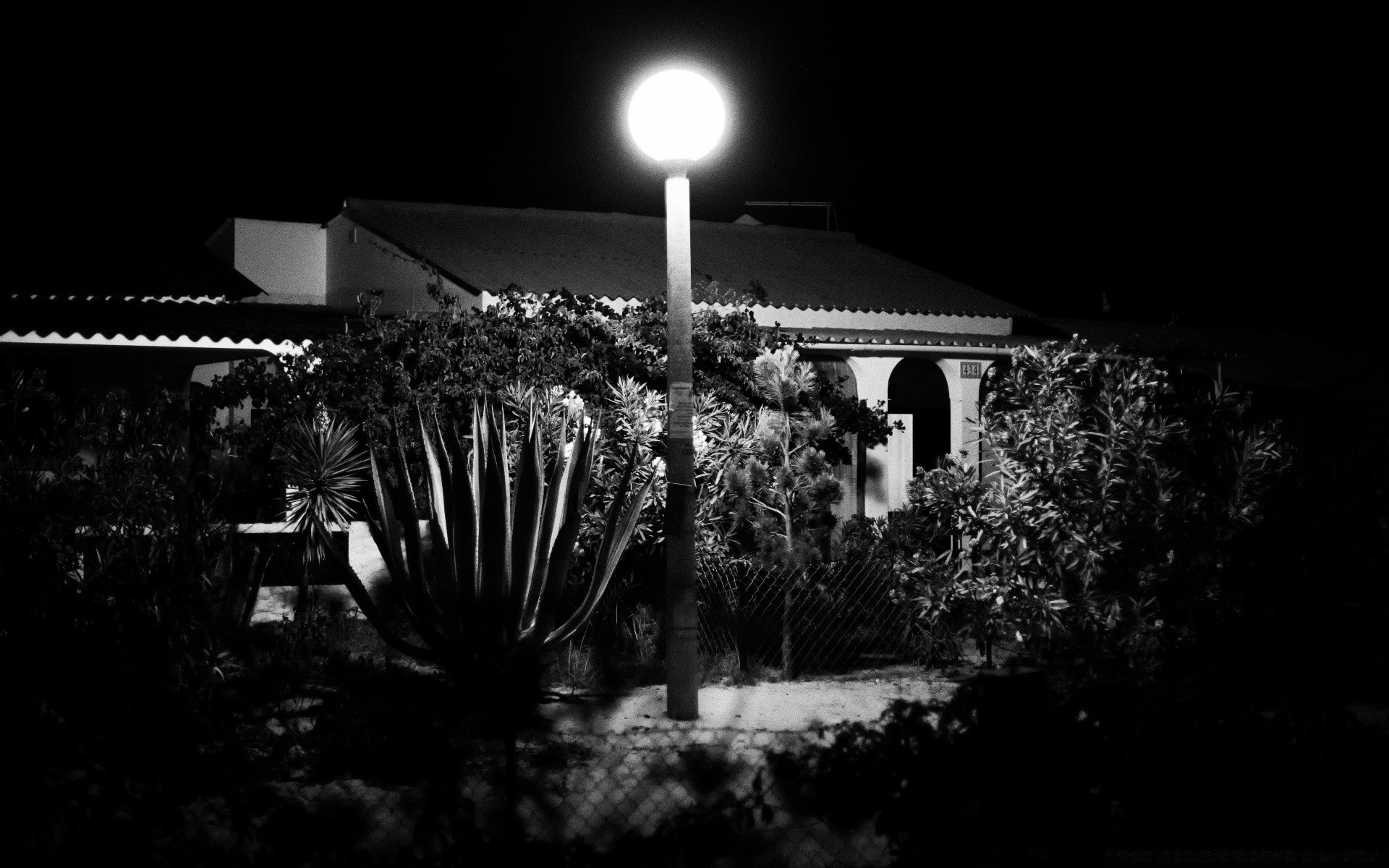 black and white architecture monochrome outdoors light city tree travel sunset street water dark sky garden