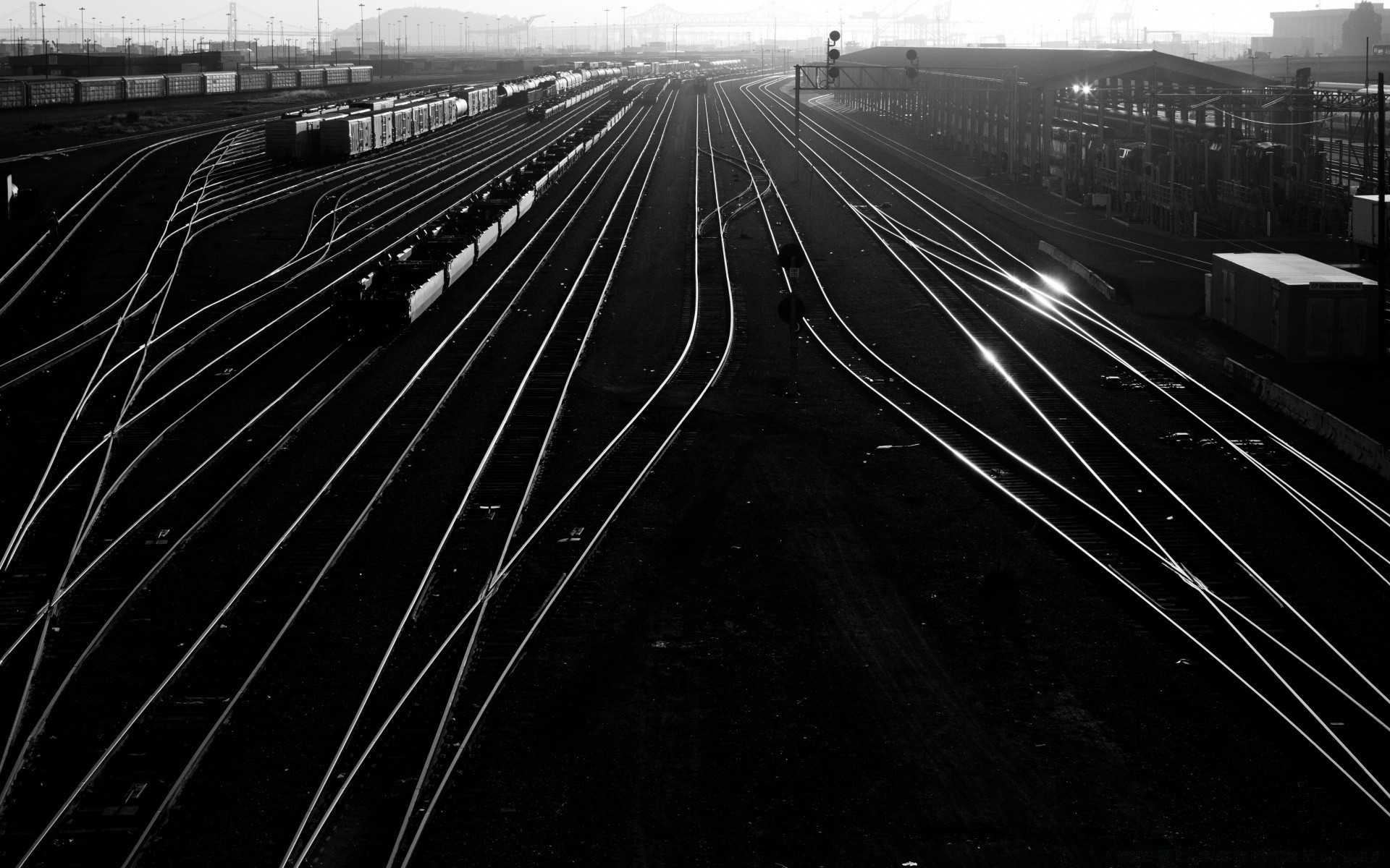 bianco e nero sistema di trasporto viaggi strada traffico strada luce veloce