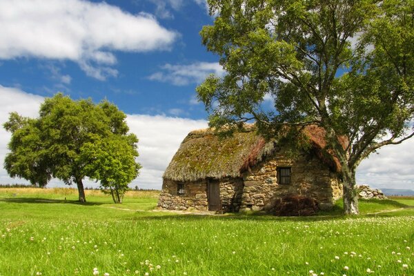 Paisagem rural com vegetação de Verão