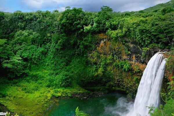 Waterfall landscape in the middle of greenery