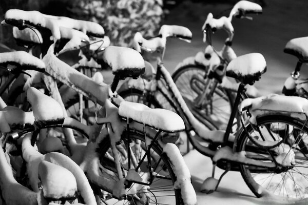 Bicicletas nevadas en blanco y negro