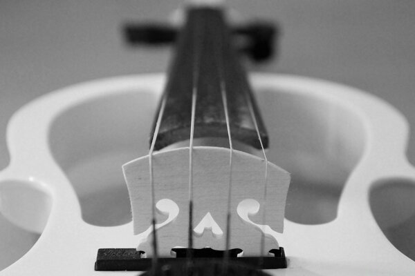 Black and white still life of a guitar