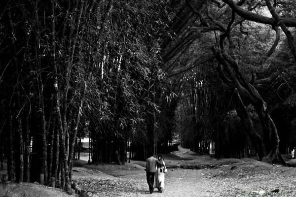 Dibujo en blanco y negro del parque