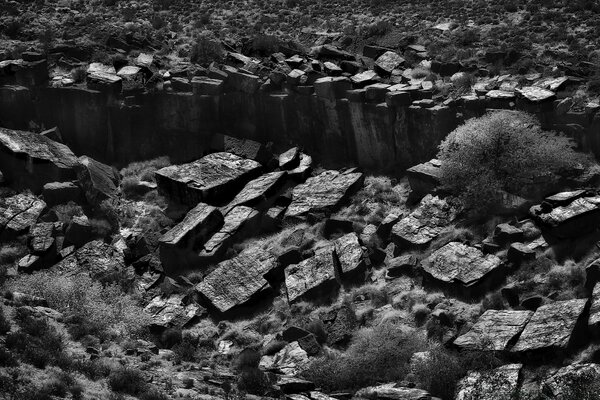 Outdoor black and white water