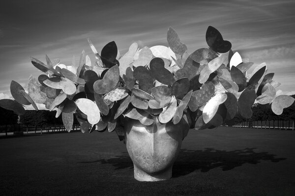 Natural still life shot on monochrome