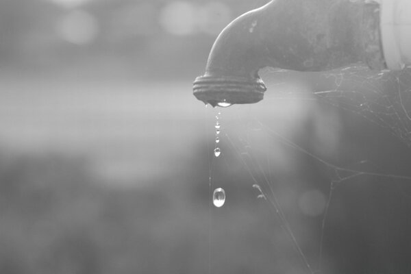 Clear water falls from the tap