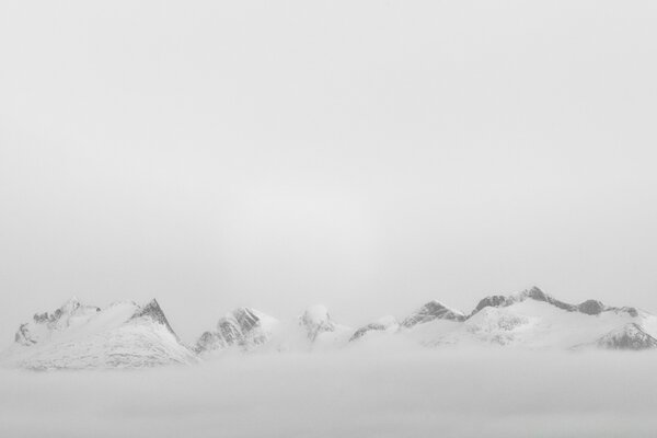 黑白冬季树木在雪地景观