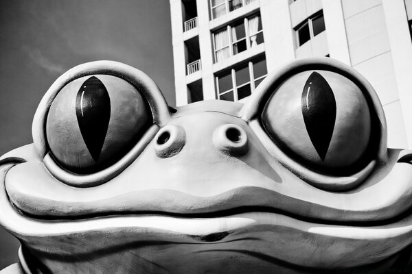 Sapo de piedra frente a un edificio de apartamentos