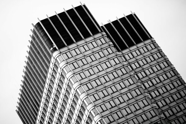 Black and white image modern office business center