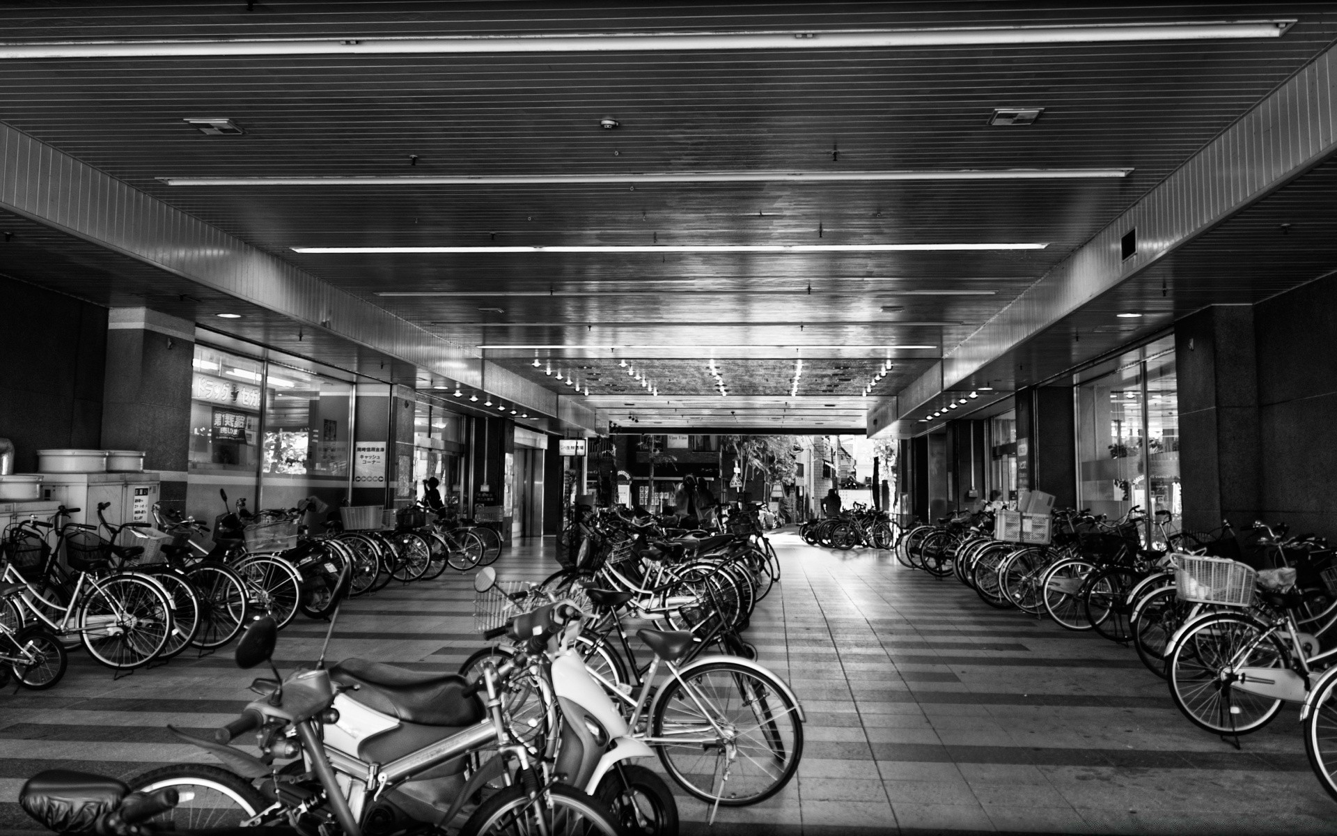 preto e branco bicicleta rua sistema de transporte rodas monocromático carro cidade ciclista motociclista grupo