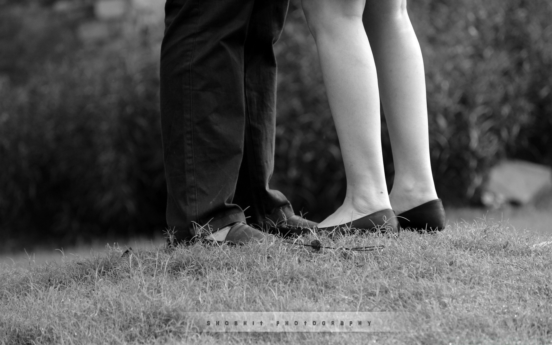 black and white monochrome grass foot nature woman outdoors girl park field adult portrait man love sepia