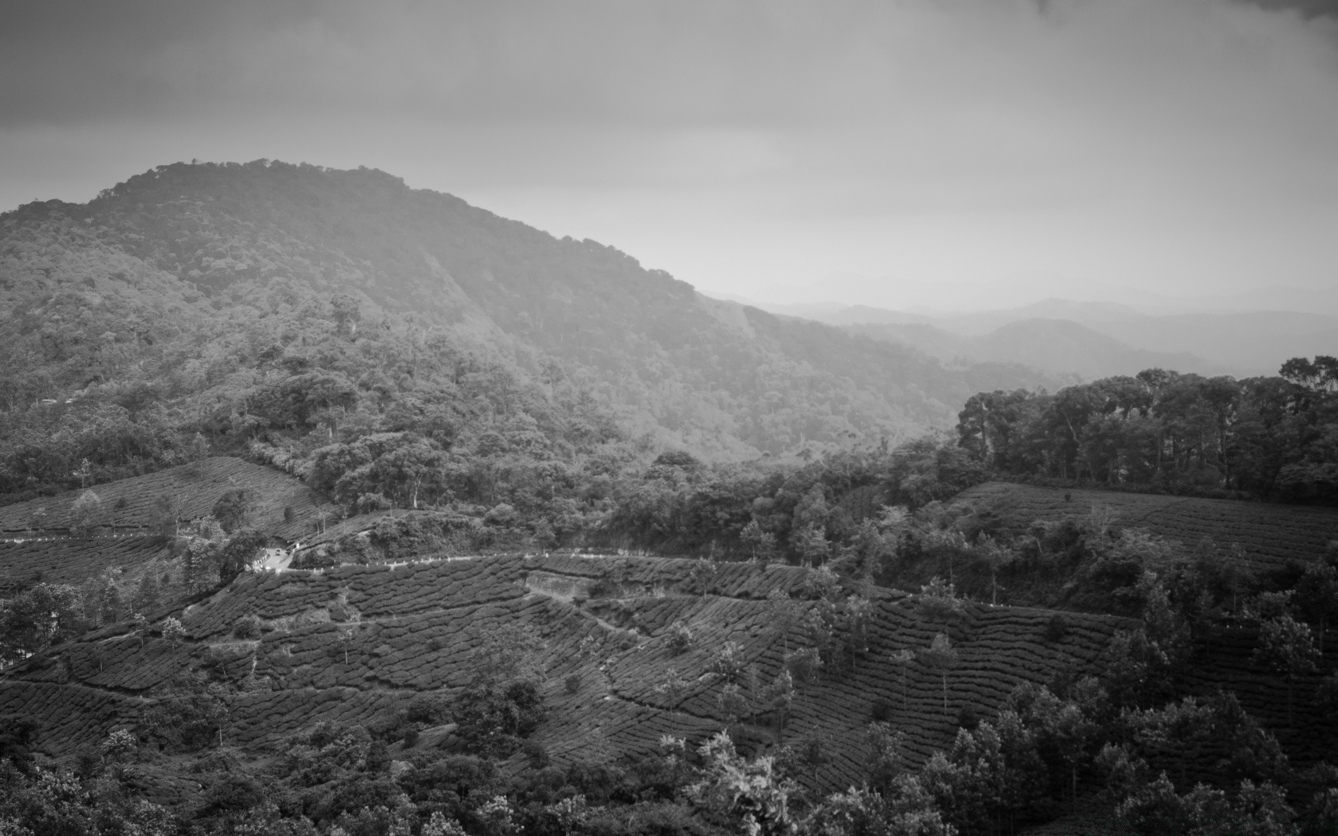 काले और सफेद परिदृश्य पहाड़ पहाड़ी पेड़ खेती की भूमि घाटी यात्रा