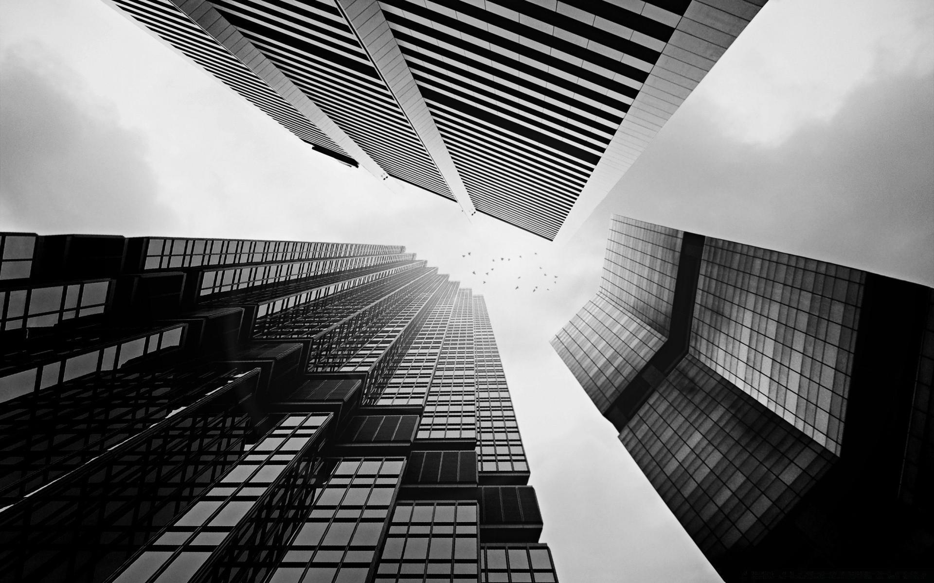 black and white architecture modern city window glass office monochrome building urban perspective business reflection light futuristic sky skyscraper contemporary construction cityscape