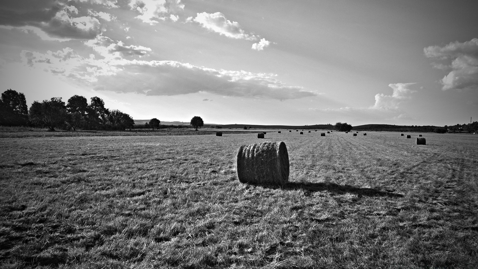 black and white landscape sky field farm agriculture nature rural outdoors countryside