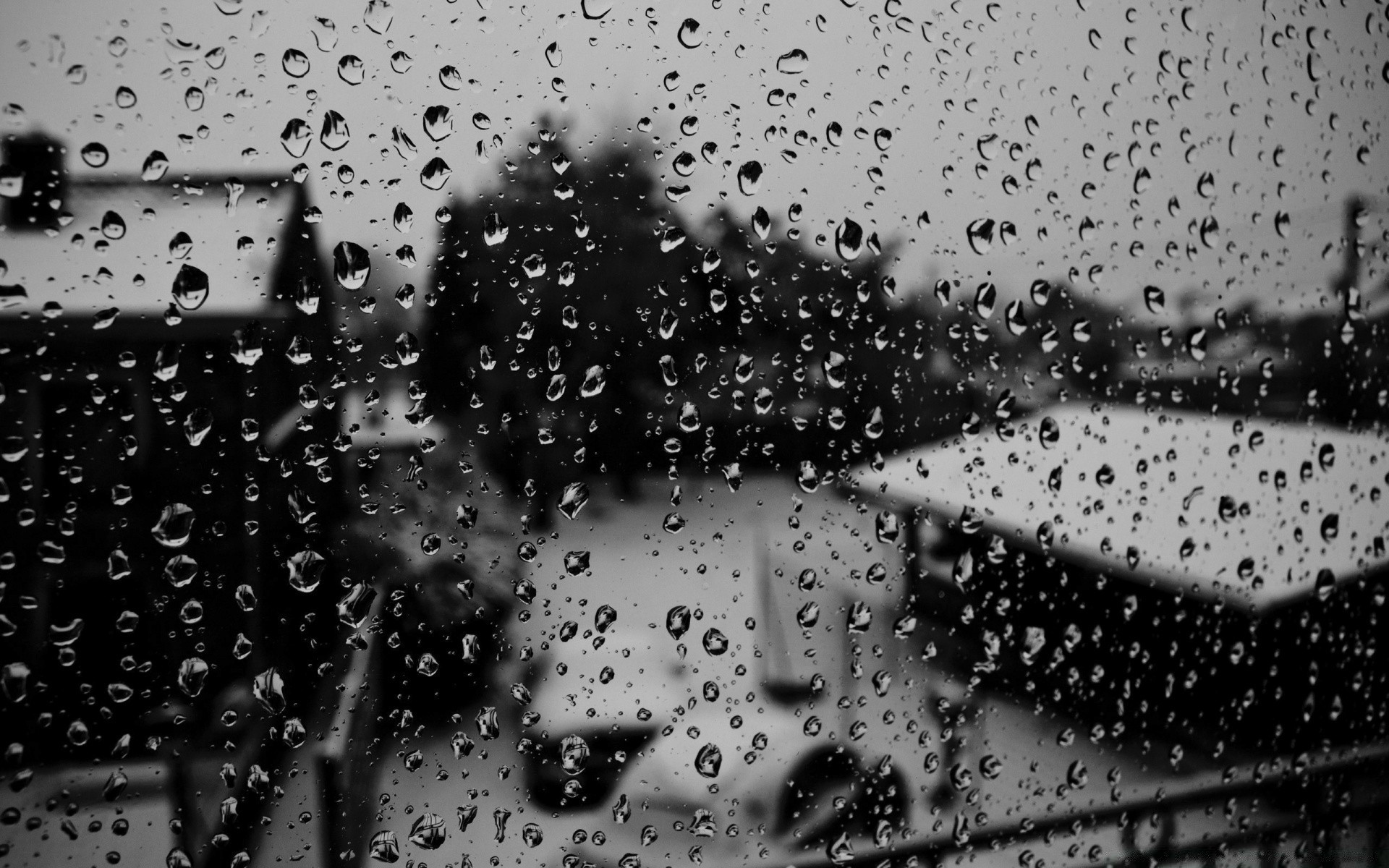 blanco y negro splash lluvia gota goteo resumen aerosol mojado gotas agua rocío textura líquido burbuja gota de agua escritorio patrón arte mancha monocromo gotas