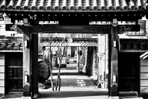 The street between the houses in black and white