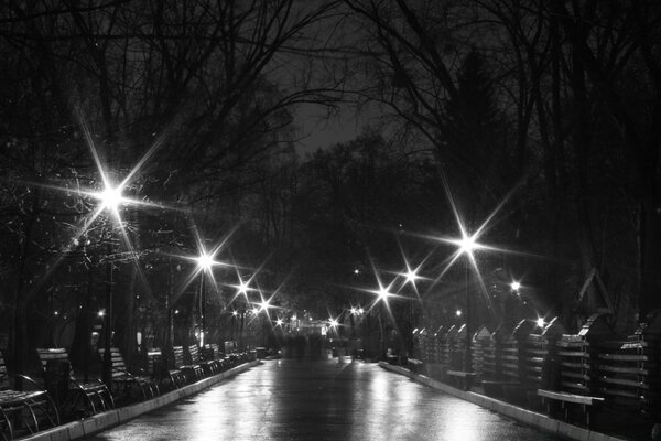 Bianco e nero Città luce sulla strada