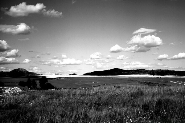 Feld um den See in Schwarzweißbild