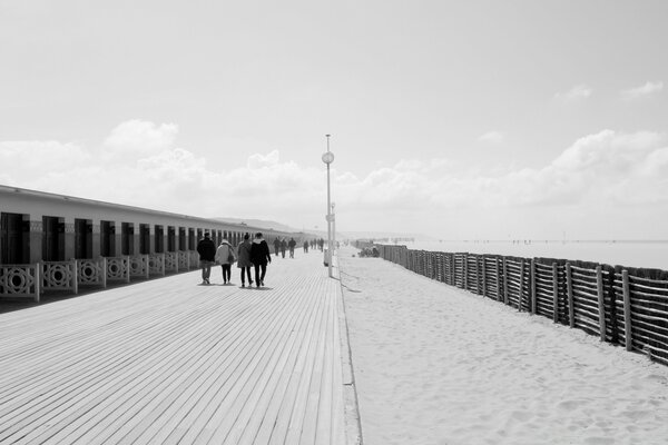 Foto in bianco e nero della spiaggia vicino al mare