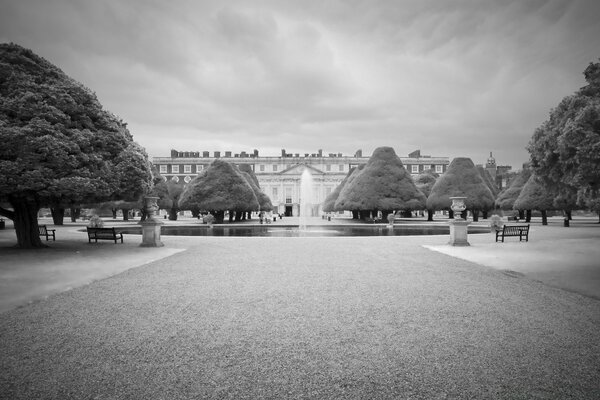 Architettura stradale albero monocromatico