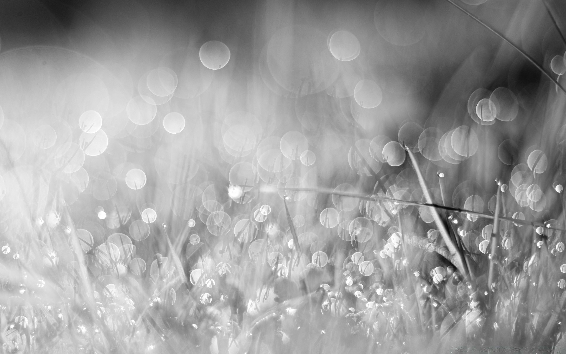 black and white shining christmas blur light abstract desktop glisten bright luminescence focus color rain texture magic