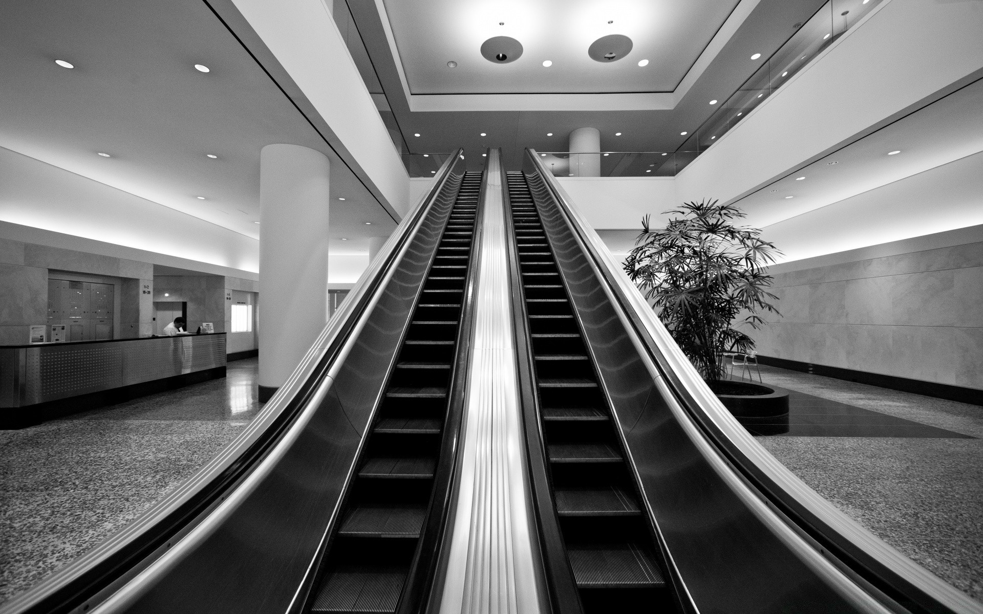 blanco y negro escalera mecánica corcho aeropuerto paso moderno arquitectura interior tren perspectiva monocromo sistema de transporte interior urbano centro comercial reflexión vestíbulo ciudad luz calle ferrocarril