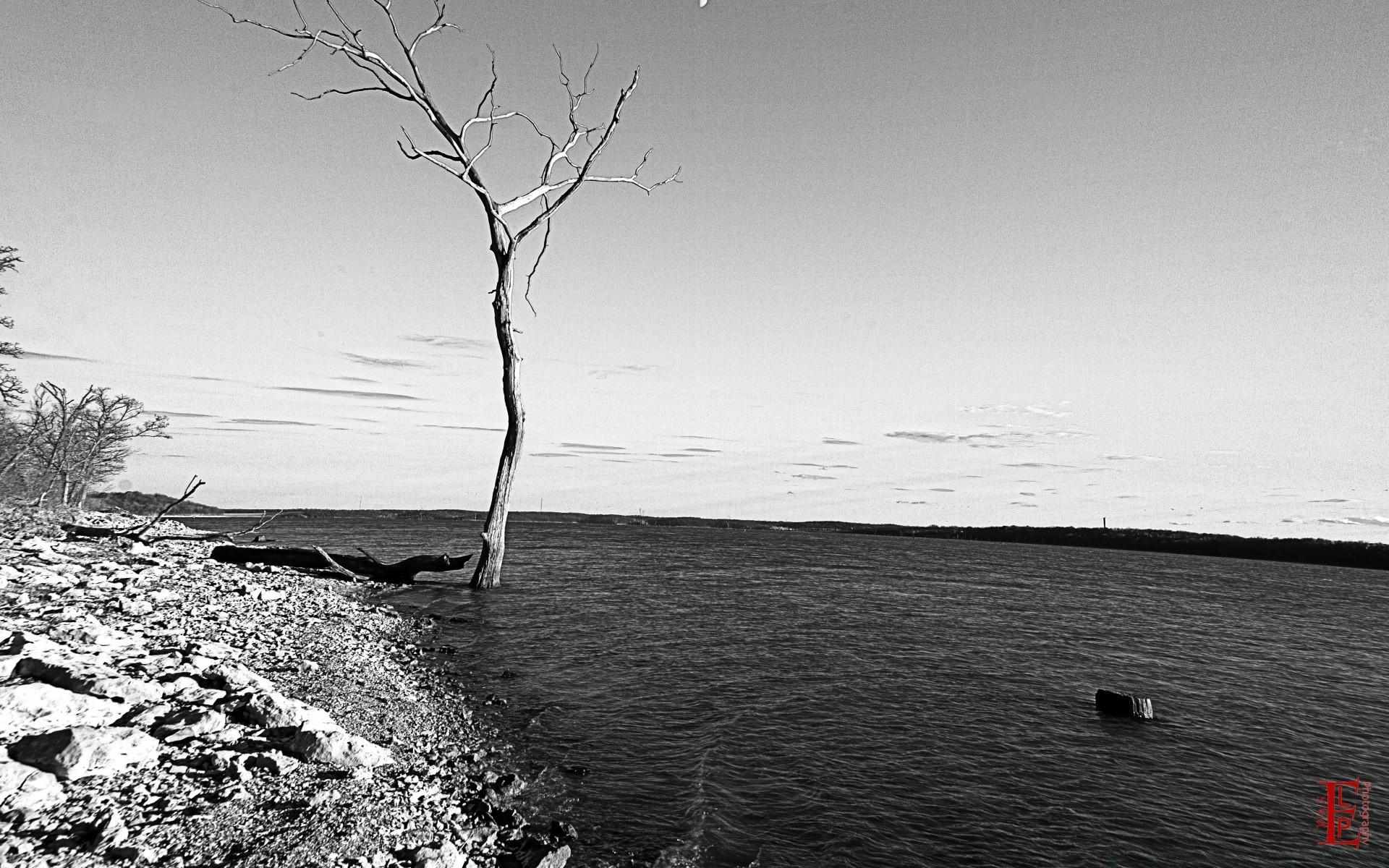 noir et blanc eau monochrome paysage plage mer coucher de soleil océan hiver aube lac