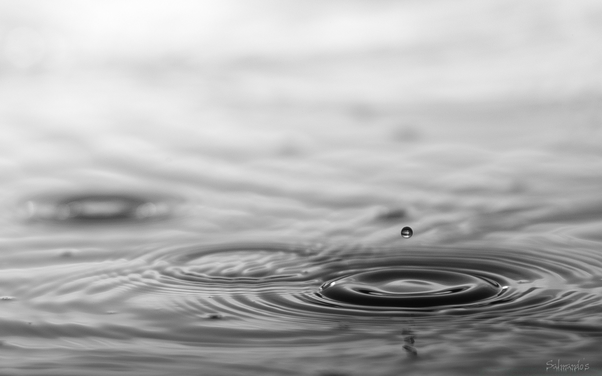 blanco y negro onda ondulación agua mojado reflexión líquido limpio splash lluvia gota limpio mar gotas suave claro naturaleza turquesa océano burbuja superficie