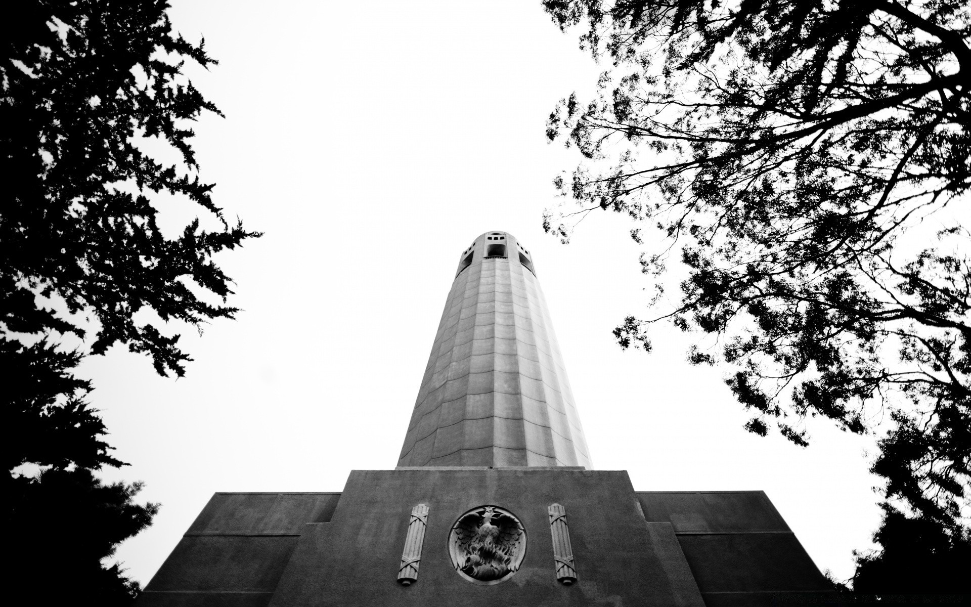 blanco y negro árbol arquitectura cielo al aire libre hogar ciudad parque