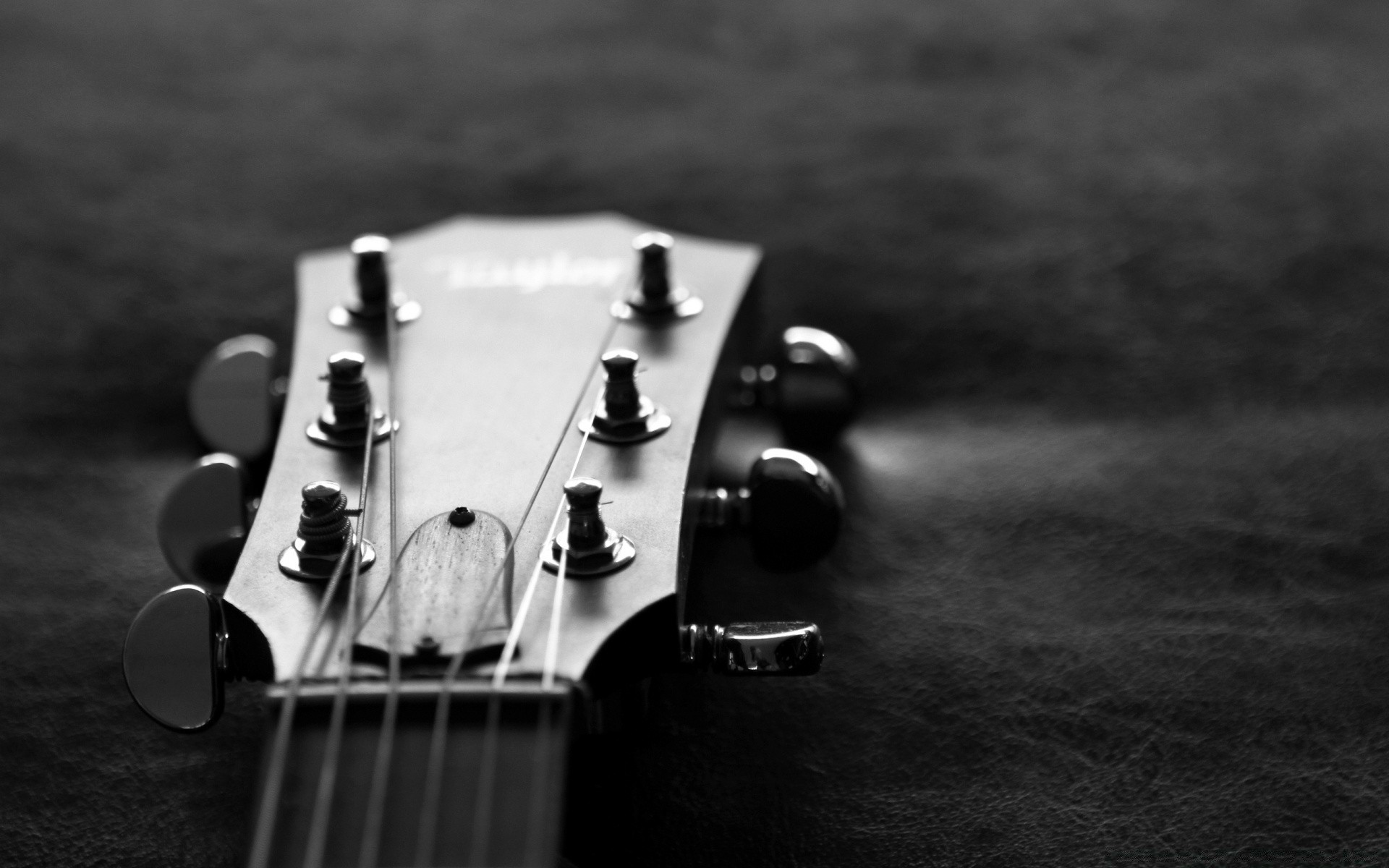 in bianco e nero chitarra strumento in bianco e nero suono arco strumento a corde legno musica acustica studio vintage giocare still life classico scuro basso jazz